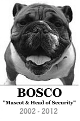 Bosco - Mascot & Head of Security